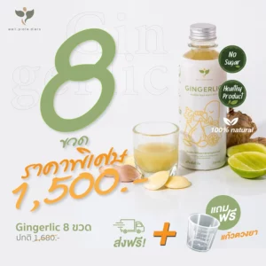 GINGERLIC  (SET 8 ขวด) ส่งฟรี