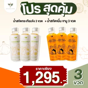เซ็ตคู่ Gingerlic  (3ขวด)+Jamu (3 ขวด) ส่งฟรี