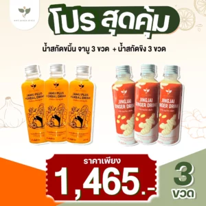 เซ็ตคู่ Jamu (3 ขวด) + Jing Jai  (3ขวด) ส่งฟรี