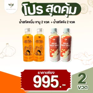 เซ็ตคู่ Jamu (2 ขวด) + Jing Jai  (2ขวด) ส่งฟรี